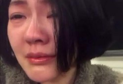 最新小s爆料,小s最新爆料揭秘娱乐圈惊人内幕